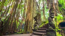 Ubud Holy Spring Temple Blissful Cleansing