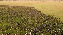  14 Days Kenya And Tanzania Budget Safari