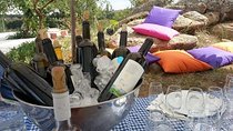 Full-Day Wine Tour from Istanbul