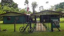 Corcovado Los Planes Birding Tour