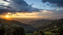 Quindío's Magical Towns experience from Salento