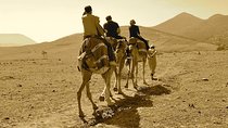 Atlas Mountains experience day trip 