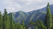 Tour in Samarkand & Bukhara with Fergana valley (8d7n)