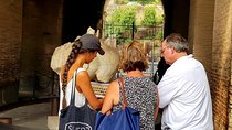 The best Colosseum tour with arena