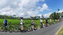 Morning Best Bali Cycling Kintamani Tour