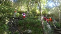 Nursery Ravine - Table Mountain