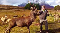 Be Enchanted by the Breathtaking Scenery of the Scottish Highlands 