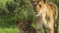 3 Days Tsavo National Park Safari in Kenya