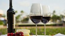 Wine Tasting Tour