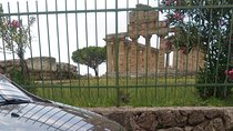 From Positano Paestum Temples Mozzarella Farm, Wine tasting lunch