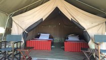 3 Days Camping Wildlife Safari in Kenya