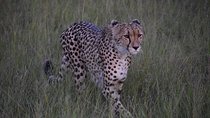 Hwange Day Trip