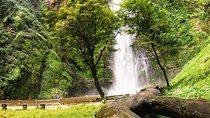 Eco Volta Expedition Tours