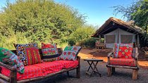 2 Days Amboseli National Park Budget Safari