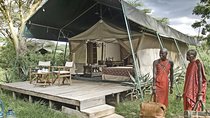 6 Days Masai Mara, Lake Nakuru, and Amboseli Camping Safari in Kenya
