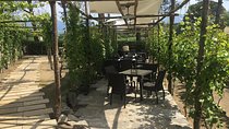 Pompeii and Winery