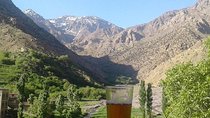 Live like a local in the Atlas mountains with a berber family
