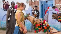 Nubian Village by Felucca