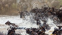 11-Days Best of Kenya & Tanzania Big 5 Safari on a 4x4 Jeep
