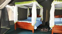  6 Days Budget Safari in Kenya