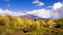4 Days Trekking in Mount Kenya