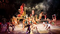 Xcaret Park Plus With Round Transportation From Cancun & Riviera Maya