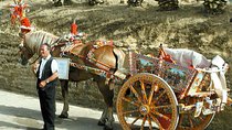 Sicily in One Memorable FullDay from Rome