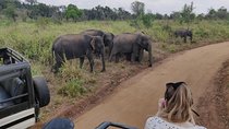 Hurulu Eco Park Private Safari