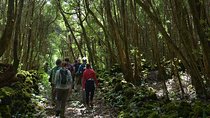 Wine and Vineyards Hike
