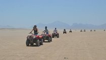 Family Safari 5 Hours