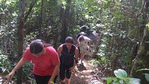 Hiking Trip – Black River Gorges Park