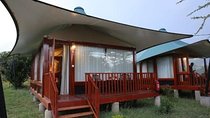 3 Days Maasai Mara Private Safari at AA Lodge from Nairobi