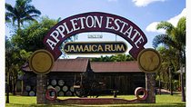 Appleton Estate Rum Private Tour