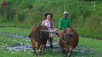 Sidemen Trekking
