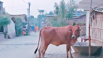 Village Tour in Varanasi