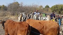 Cultural & Traditional Village Tour 