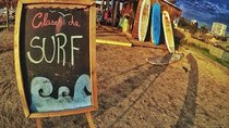 Surfing, Sandboarding & wild Sea lions + Chilean drinks & food