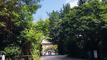 [Rental bus with English or Japanese guide] OK for small groups to 40 people Recommended for family and employee travel Taipei Free Sightseeing