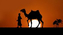 Bedouin night at Sharm El sheikh