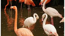 5 Days Kenya Wildlife Safari Holiday