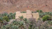 East Coast Dibba & Fujairah Day Trip with Lunch from Dubai 