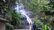 Jeep Tour to Tijuca Forest in Rio de Janeiro