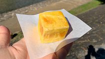 Special Food and Sake Factory Tour in Takayama