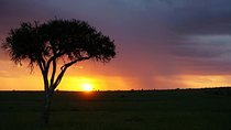 5 DAYS mt. Kenya climb