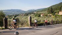 Fiesole: Tuscan Countryside Half Day E-Bike Tour & Farm visit