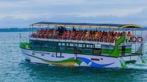 Whale & Dolphin Watching Day Tour including Handunugoda Teafactory 