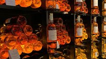 Private tour in the Sauternes wine region - discover Bordeaux sweet Crus Classés