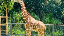 Cebu Safari Journeys 