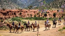 Horse Ride at the Marrakech Desert