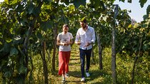 KUTAISI, WINE & DINE - Group tour from Tbilisi
